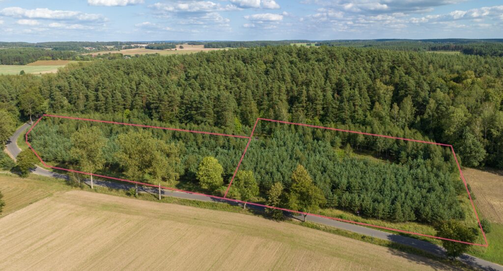 Działka siedliskowa pod lasem - zdjęcie 4