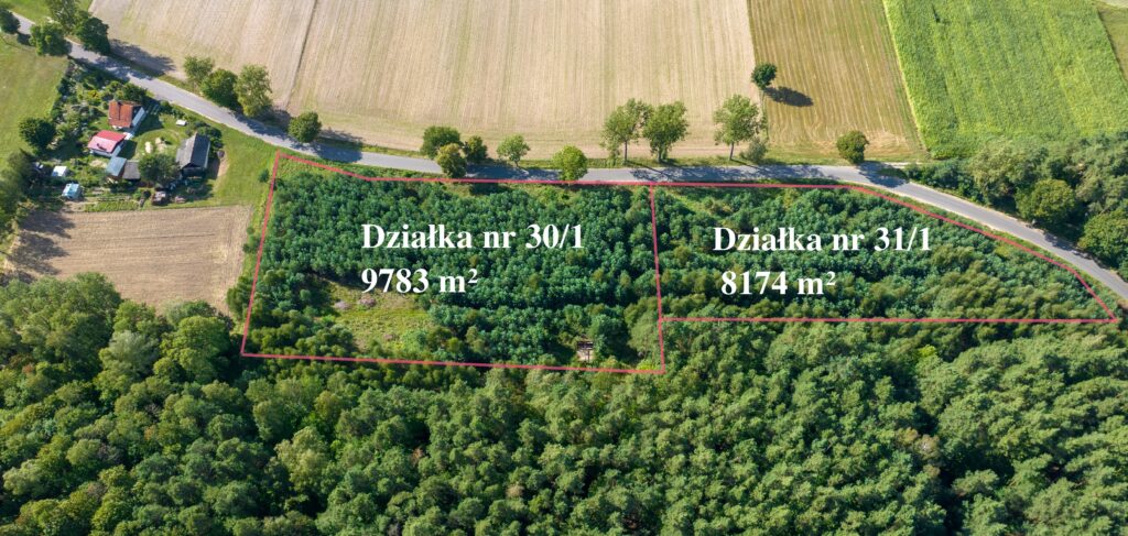Działka siedliskowa pod lasem - zdjęcie 9