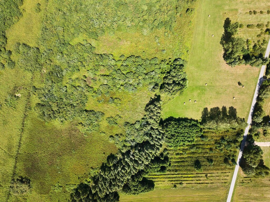 Działka w Żalinie, warunki zabudowy. - zdjęcie 6