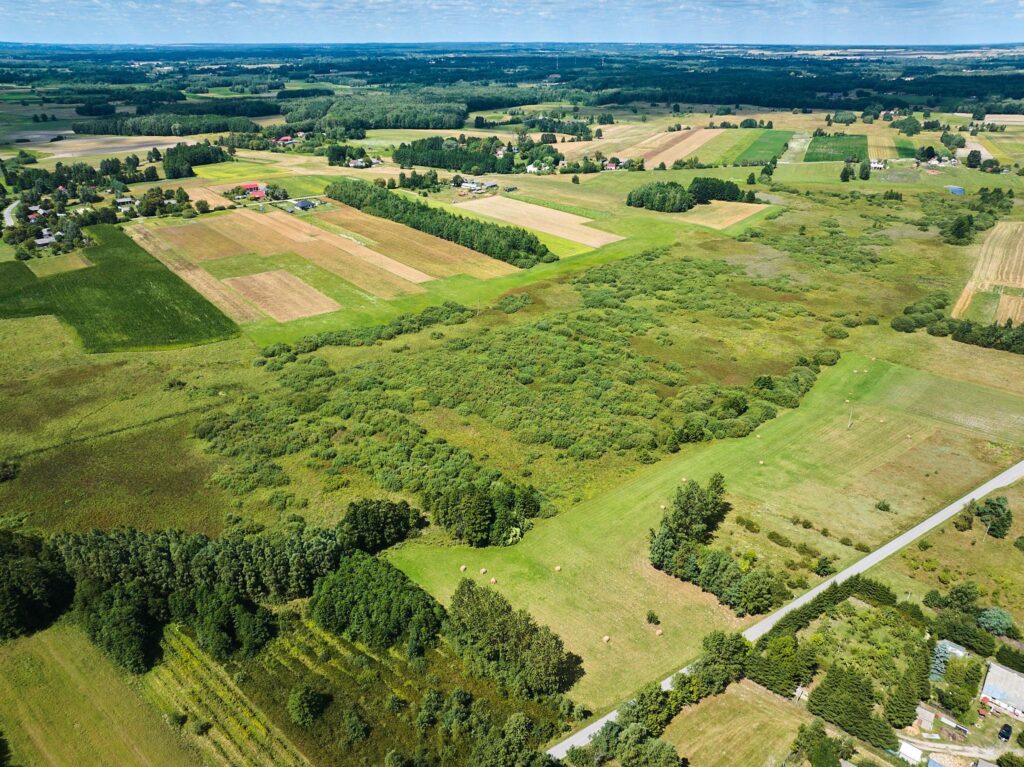 Działka w Żalinie, warunki zabudowy. - zdjęcie 7