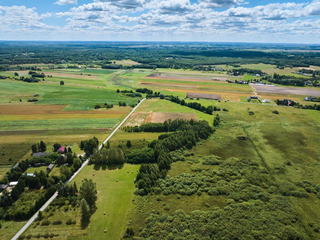 Działka w Żalinie, warunki zabudowy. - zdjęcie 11