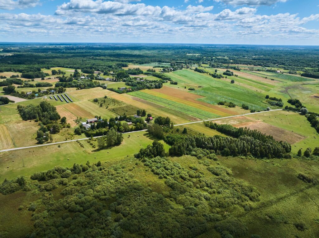 Działka w Żalinie, warunki zabudowy. - zdjęcie 4