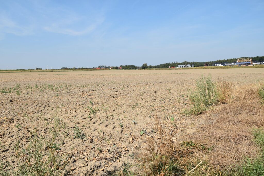 Okazja 0,90 ha pod  osiedle domów jednorodzinnych - zdjęcie 2