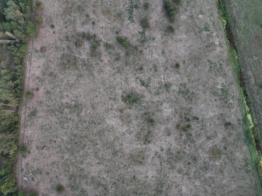 Działka z potencjałem deweloperskim , Okuniew - zdjęcie 8