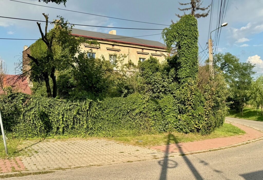 Wyjątkowa willa na Teatralnej. - zdjęcie 2