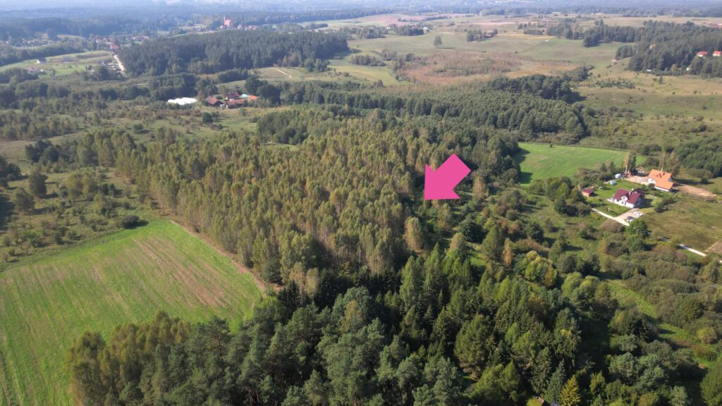 Działka budowlana z warunkami zabudowy  Ługwałd - zdjęcie 4