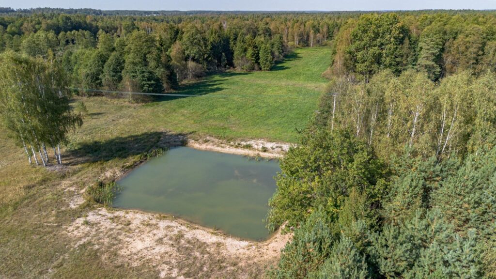Augustów - siedlisko nad rzeką Blizna. - zdjęcie 16