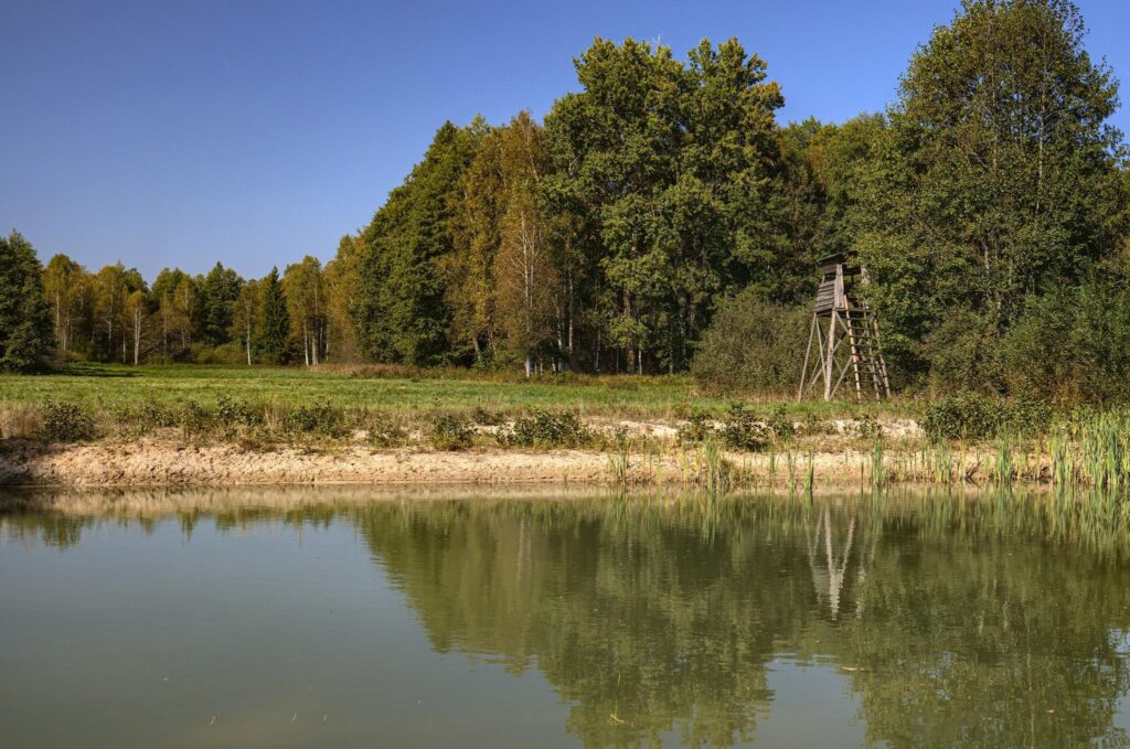 Augustów - siedlisko nad rzeką Blizna. - zdjęcie 23