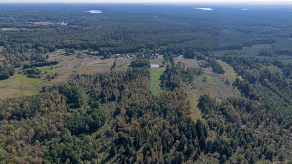 Augustów - siedlisko nad rzeką Blizna. - zdjęcie 39