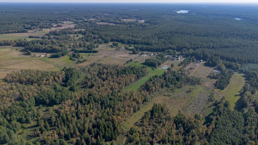 Augustów - siedlisko nad rzeką Blizna. - zdjęcie 40