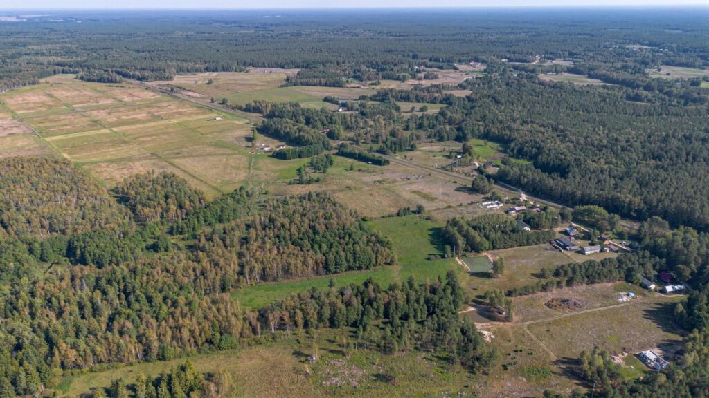 Augustów - siedlisko nad rzeką Blizna. - zdjęcie 41