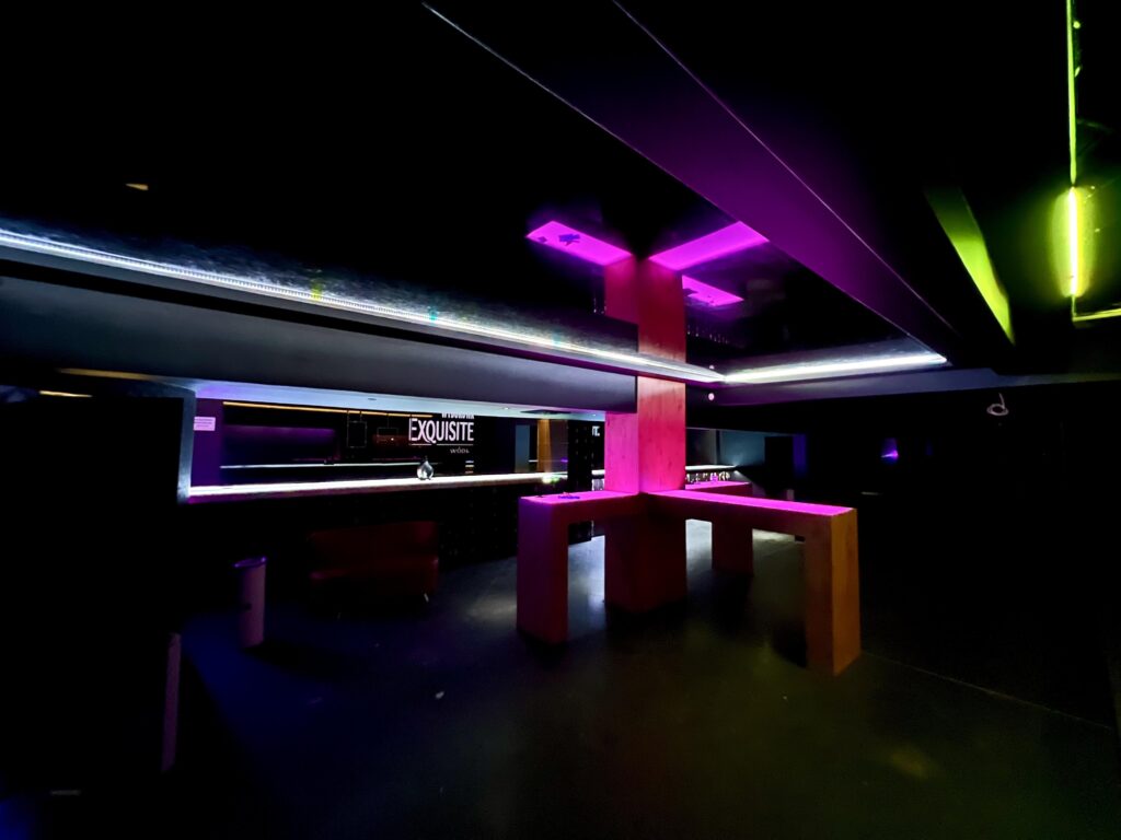 Duży lokal 530 m² przy Promenadzie Niemena - zdjęcie 2