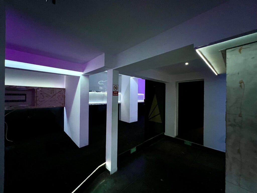 Duży lokal 530 m² przy Promenadzie Niemena - zdjęcie 4