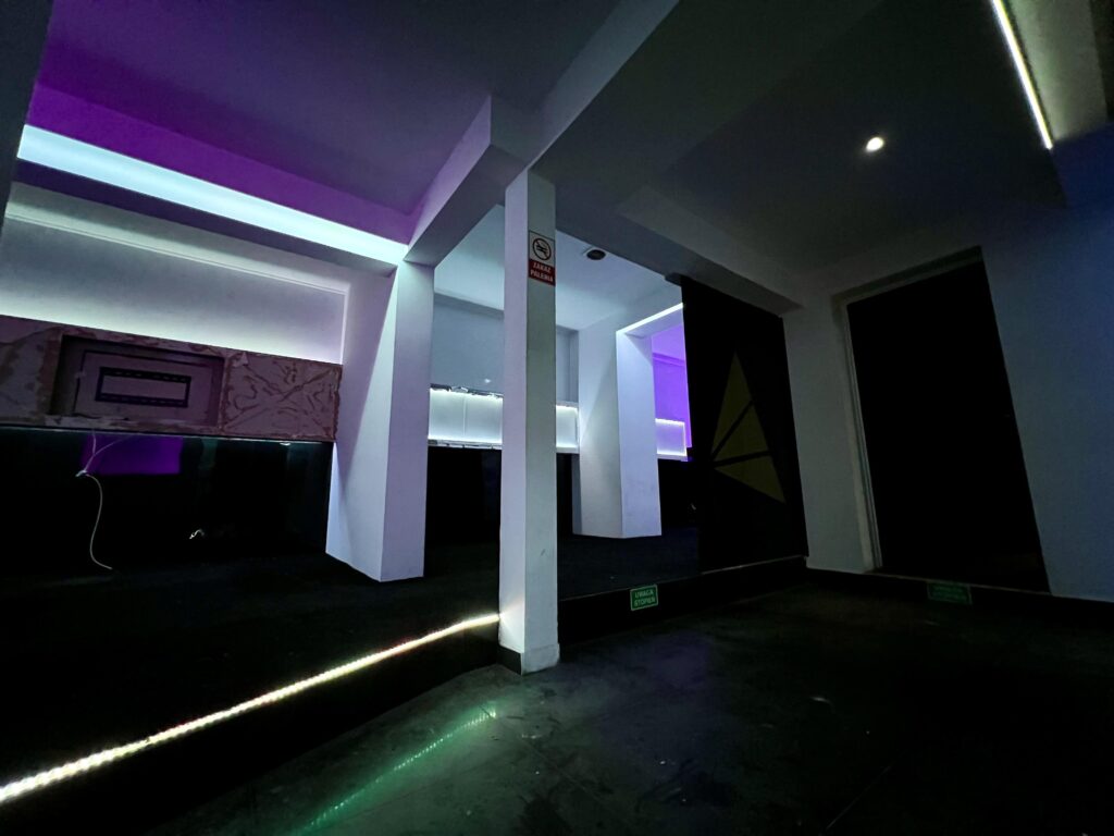 Duży lokal 530 m² przy Promenadzie Niemena - zdjęcie 5