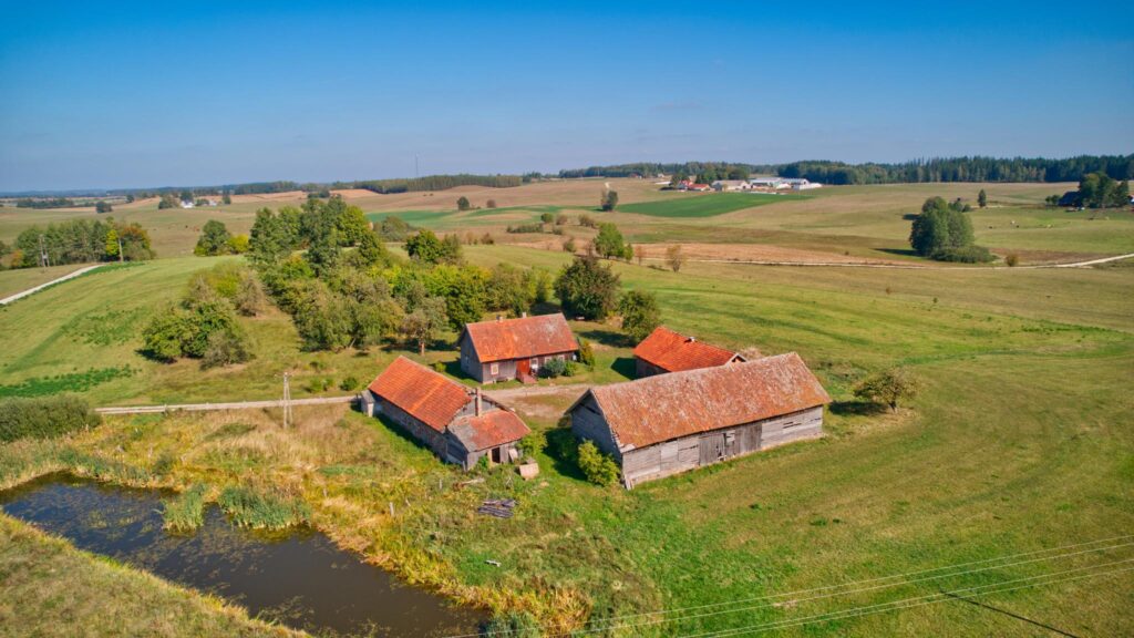 Siedlisko na Mazurach z własnym sadem i stawem - zdjęcie 3