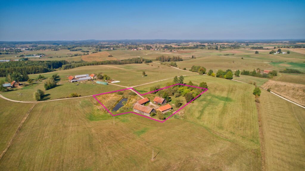 Siedlisko na Mazurach z własnym sadem i stawem - zdjęcie 5