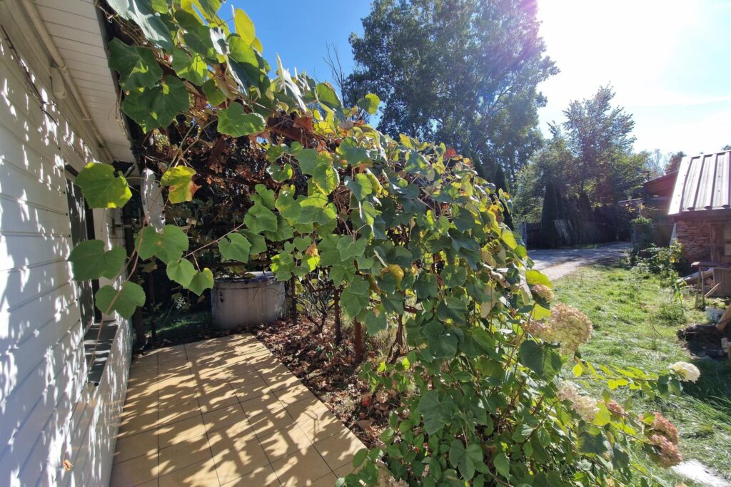 Działka 2832 m2 z domem trasa E30 na Terespol - zdjęcie 8