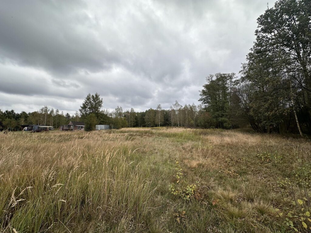 Działka 1041 m2 przy Kampinosie - zdjęcie 3