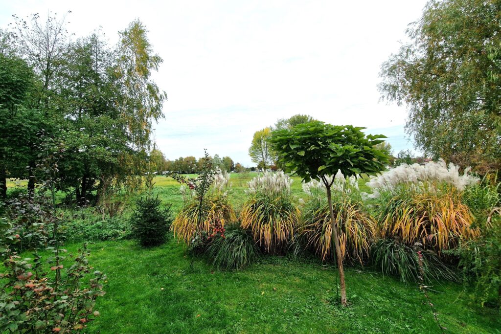 Dom w centrum Łukowa dla rodziny lub pod usługi - zdjęcie 24