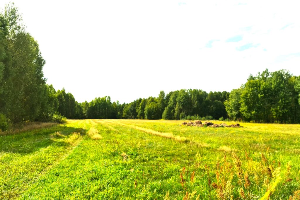 Działka budowlana na sprzedaż - zdjęcie 3