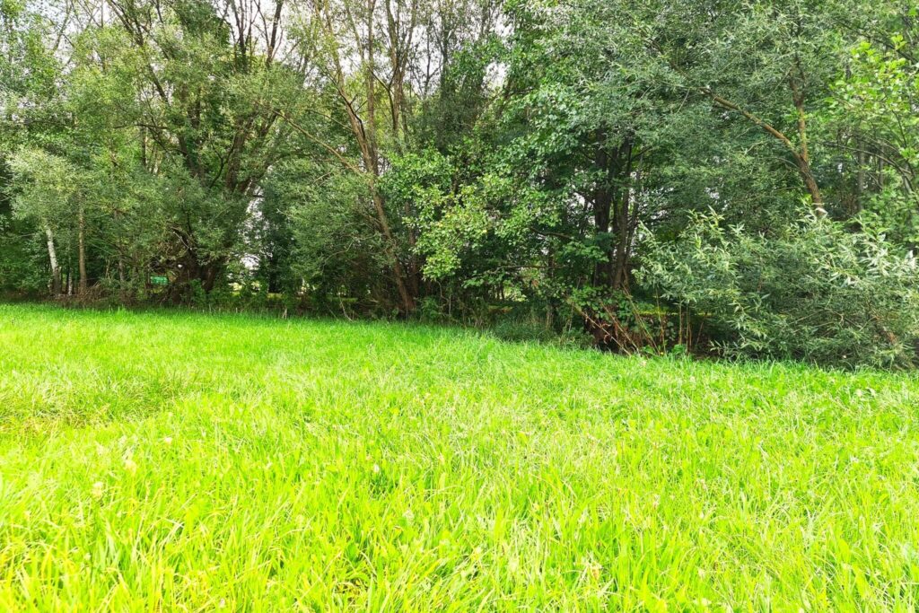 Działka budowlana na sprzedaż - zdjęcie 4