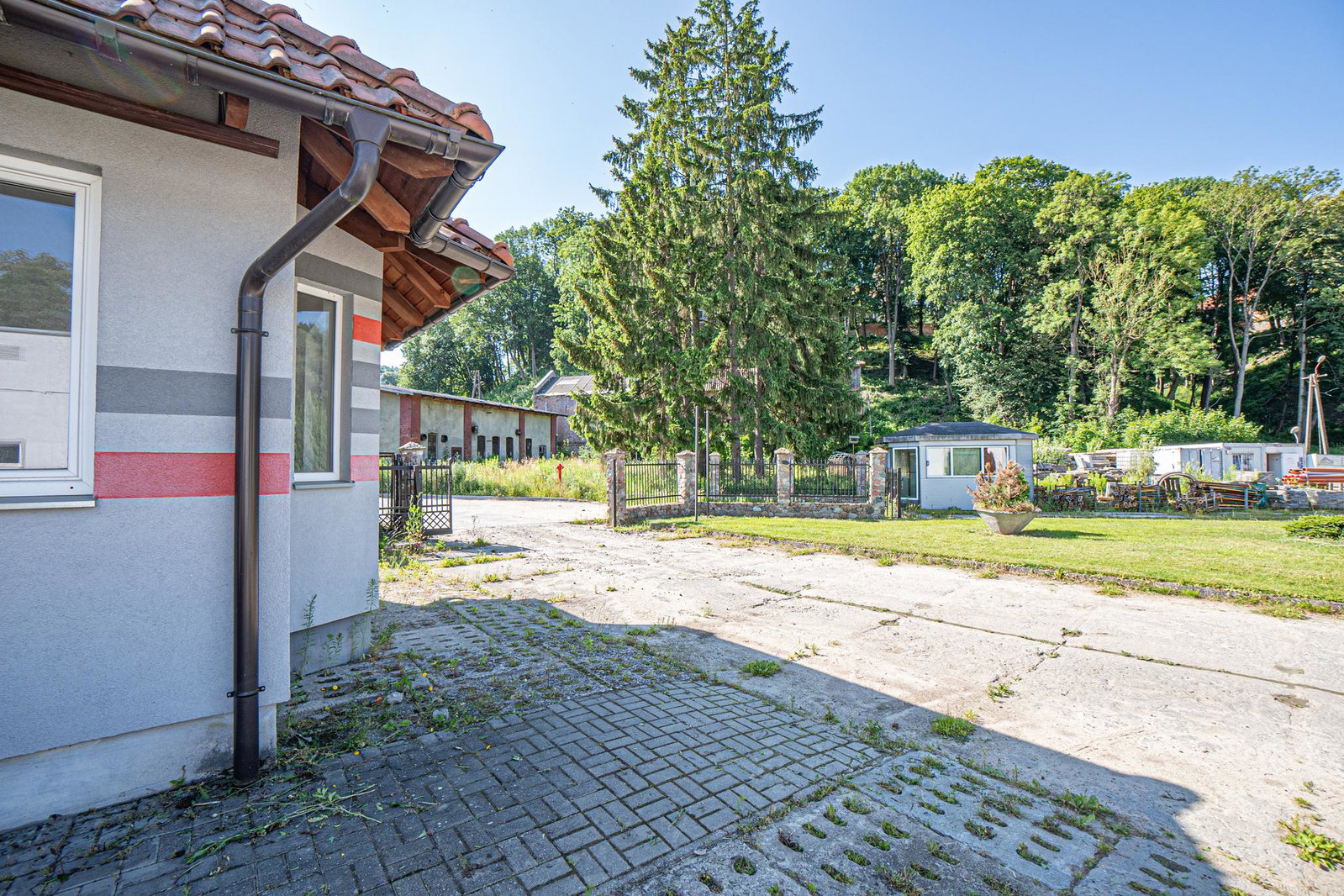 Zdjęcie 14