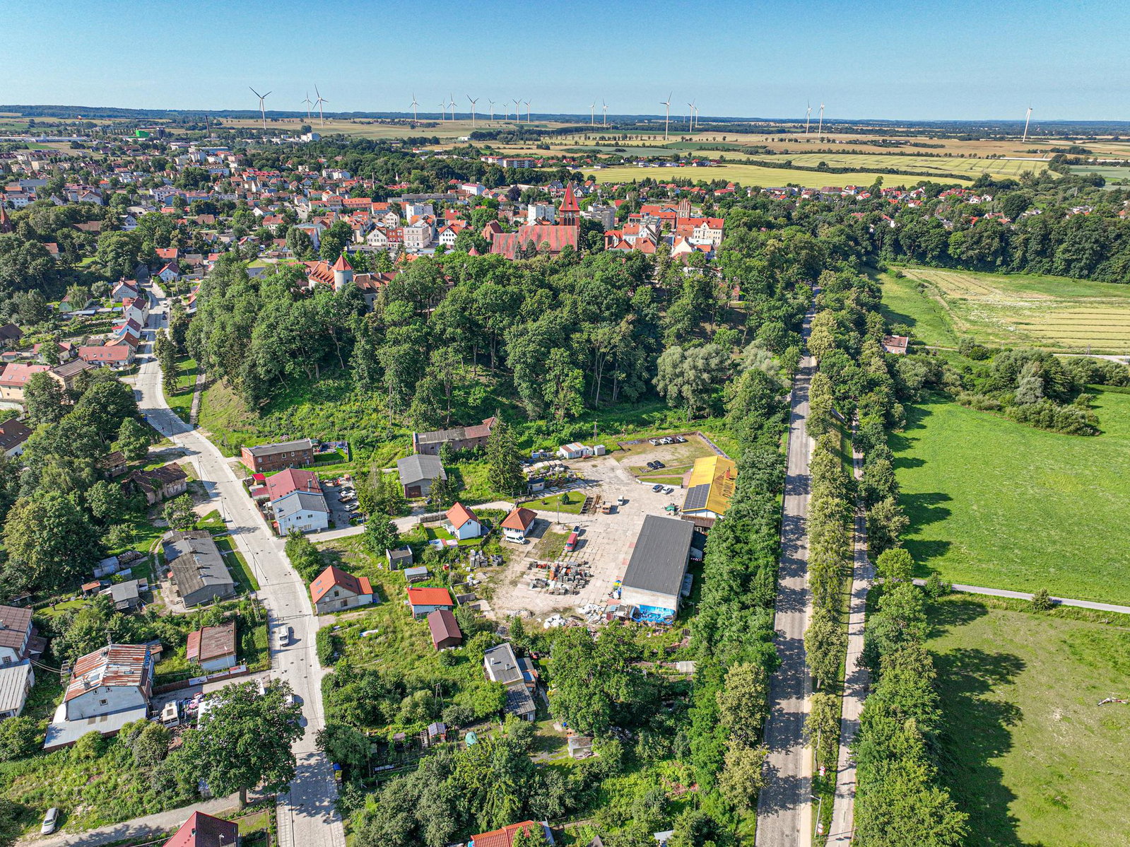 Zdjęcie 12