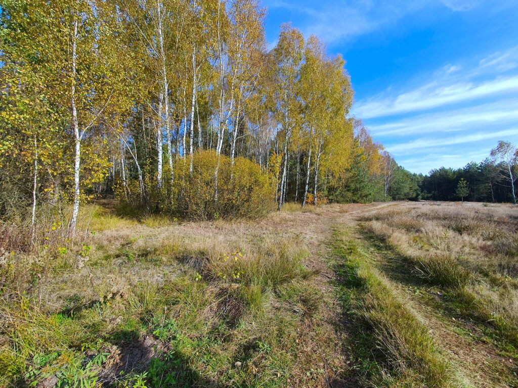 Działki rolne Mlęcin 23zł/m2 - zdjęcie 3