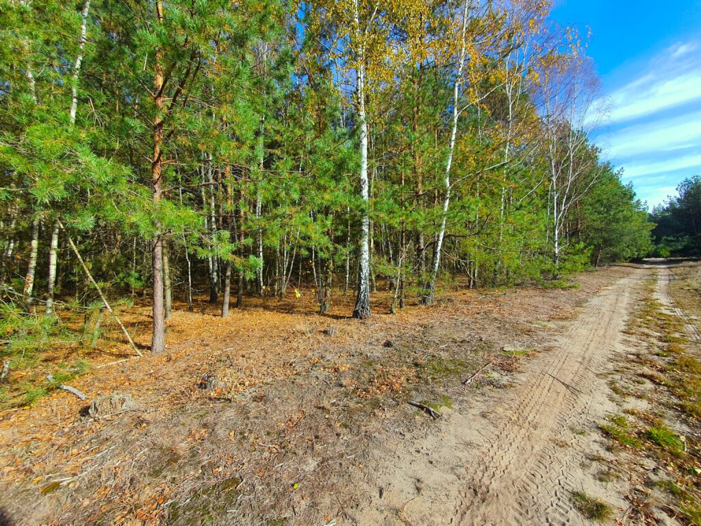 Działki rolne Mlęcin 23zł/m2 - zdjęcie 5