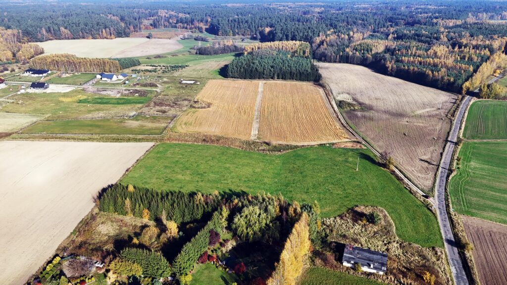 Szukasz działki blisko lasu? - zdjęcie 1