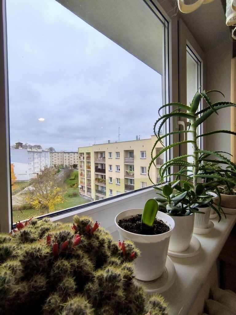 Dwa pokoje z balkonem w Szczecinku - zdjęcie 5