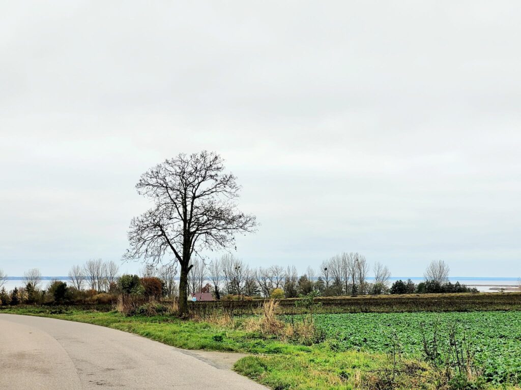 Piękne działki budowlane 1500m2 nad Zalewem z WZ - zdjęcie 4