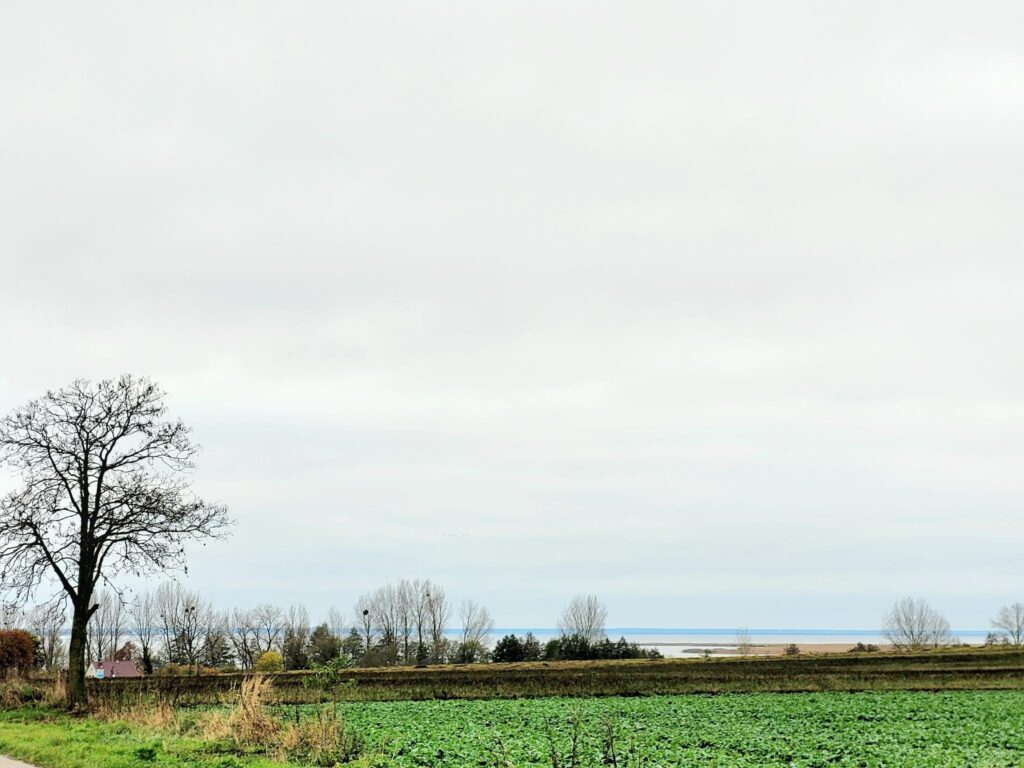 Piękne działki budowlane 1500m2 nad Zalewem z WZ - zdjęcie 6