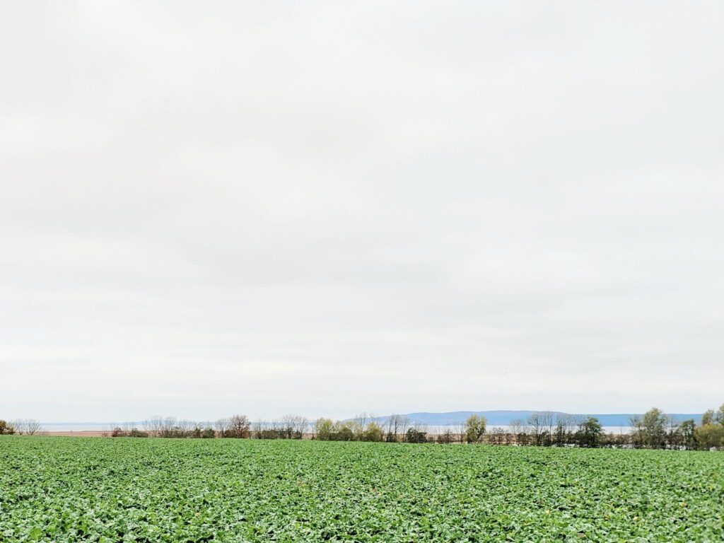 Piękne działki budowlane 1500m2 nad Zalewem z WZ - zdjęcie 8