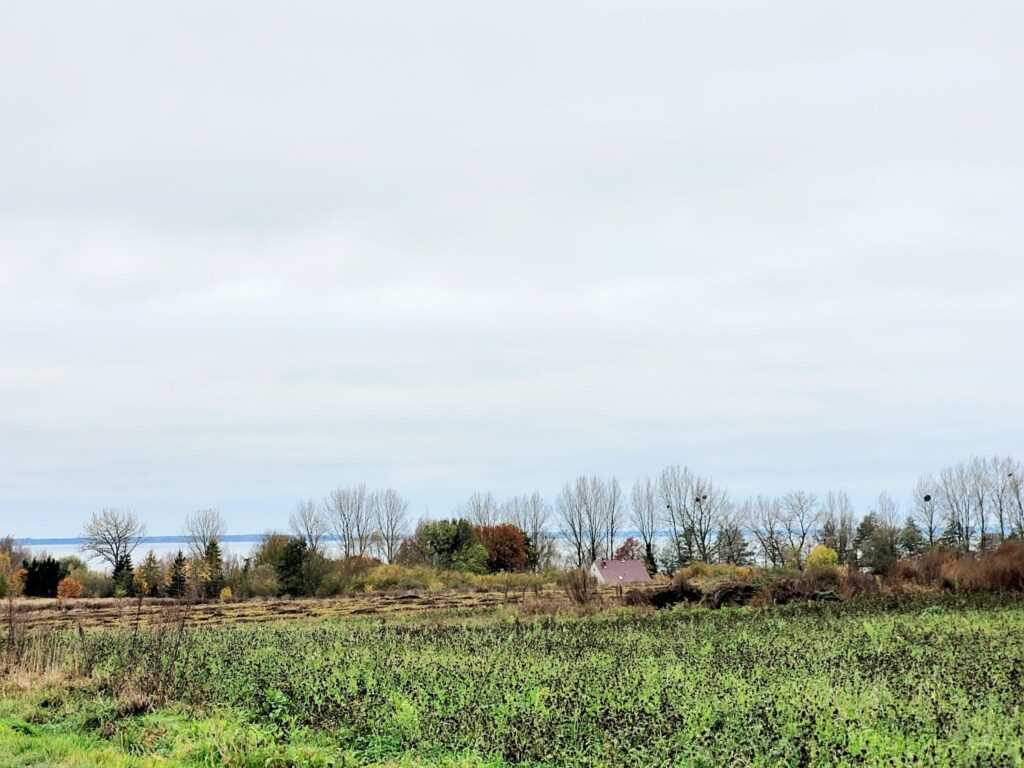 Piękne działki budowlane 1500m2 nad Zalewem z WZ - zdjęcie 3