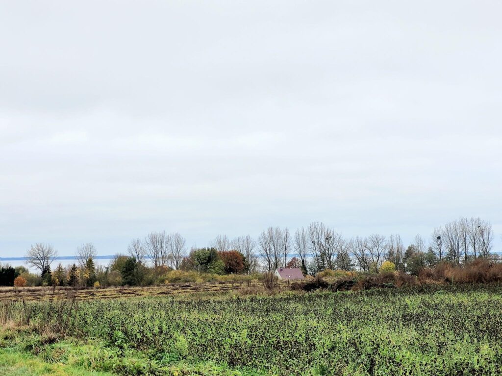 Piękne działki budowlane 1500m2 nad Zalewem z WZ - zdjęcie 9