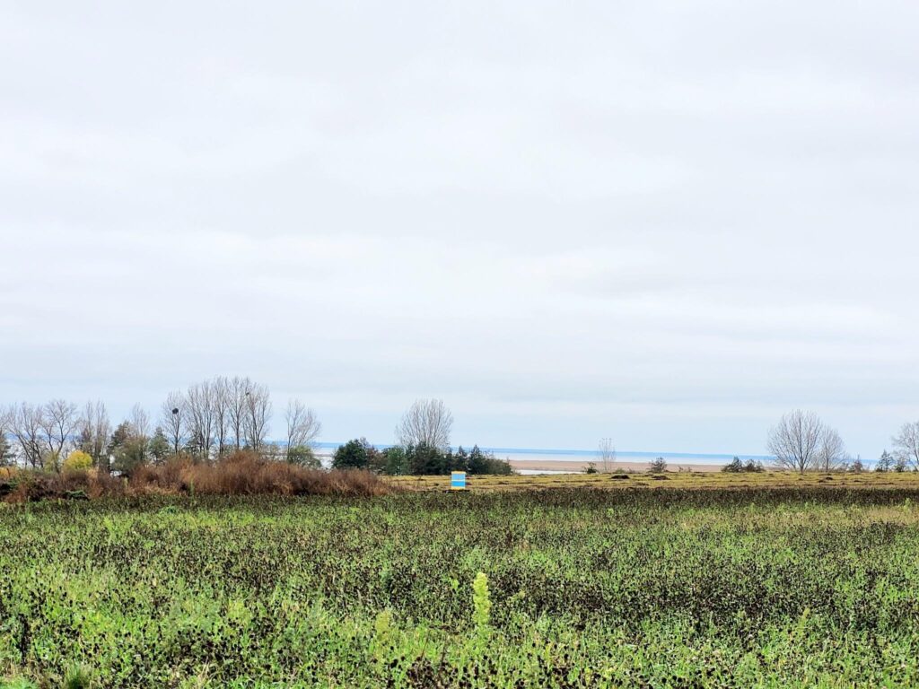 Piękne działki budowlane 1500m2 nad Zalewem z WZ - zdjęcie 10