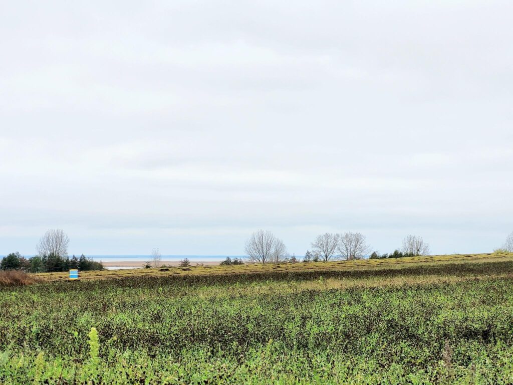 Piękne działki budowlane 1500m2 nad Zalewem z WZ - zdjęcie 11