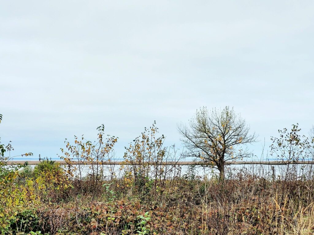Piękne działki budowlane 1500m2 nad Zalewem z WZ - zdjęcie 13
