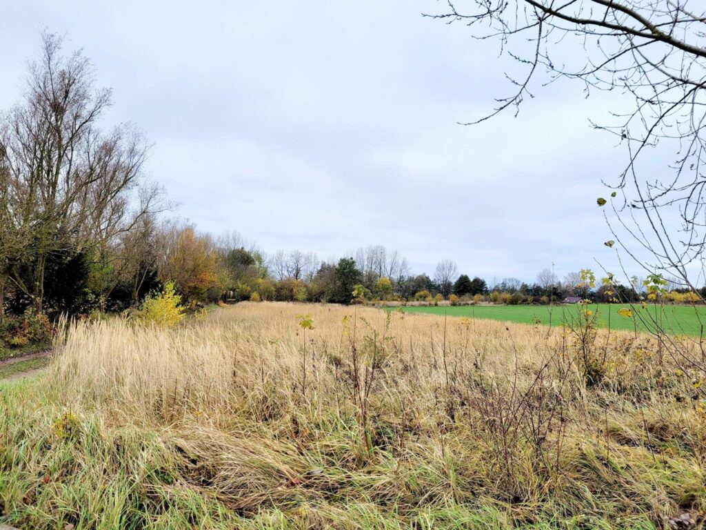 Piękne działki budowlane 1500m2 nad Zalewem z WZ - zdjęcie 15