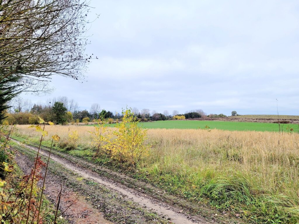Piękne działki budowlane 1500m2 nad Zalewem z WZ - zdjęcie 17