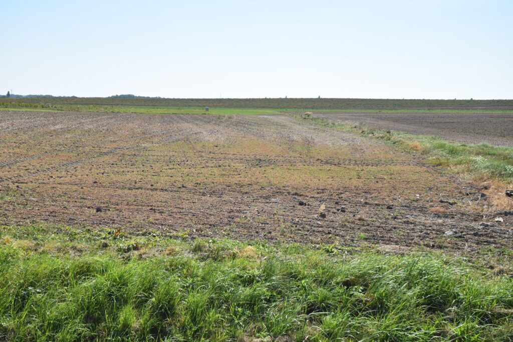 Okazja 0,61 ha pod  osiedle domów jednorodzinnych - zdjęcie 1