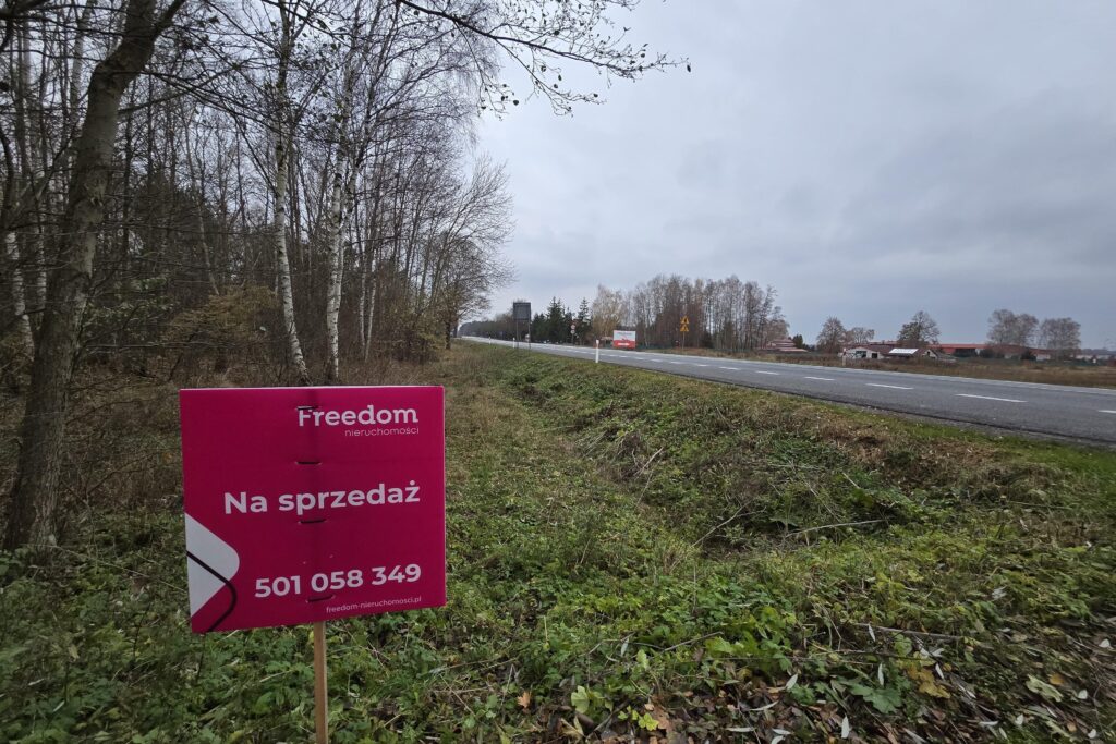 Działki z przyszłym potencjałem inwestycyjnym. - zdjęcie 2