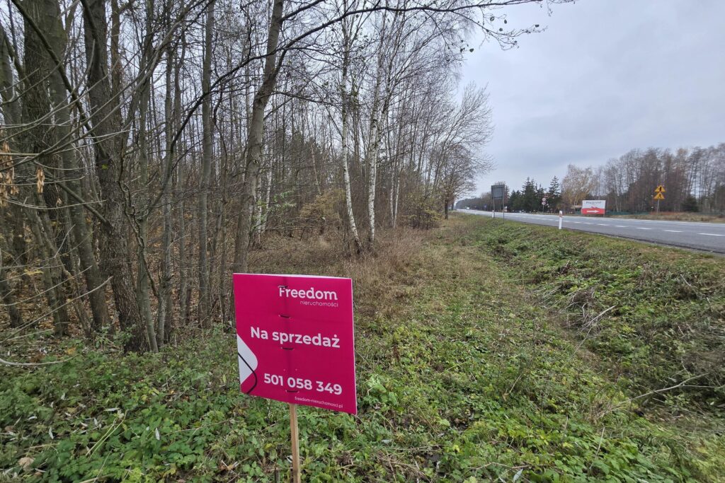 Działki z przyszłym potencjałem inwestycyjnym. - zdjęcie 3