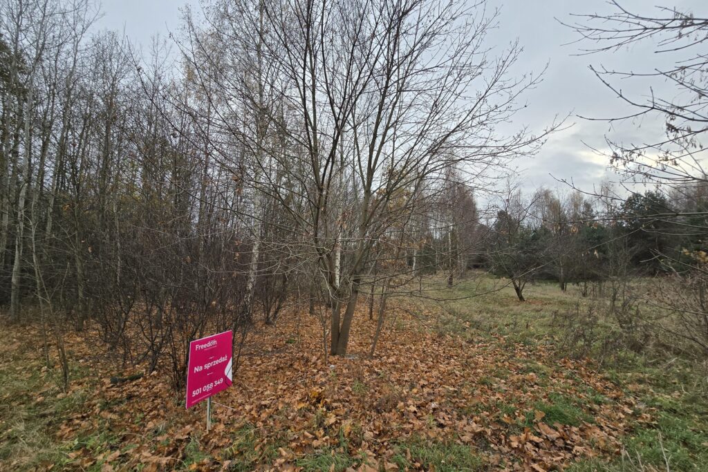 Działki z przyszłym potencjałem inwestycyjnym. - zdjęcie 4