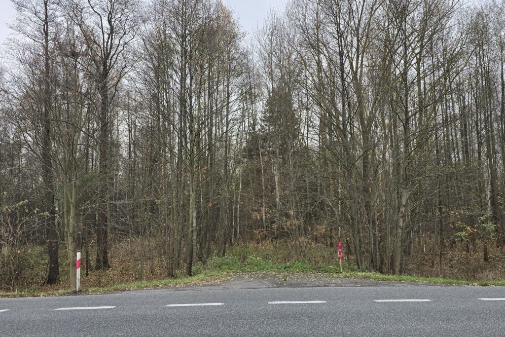 Działki z przyszłym potencjałem inwestycyjnym. - zdjęcie 13