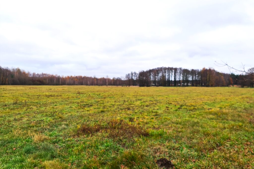 Działka na sprzedaż Brzuza - zdjęcie 3