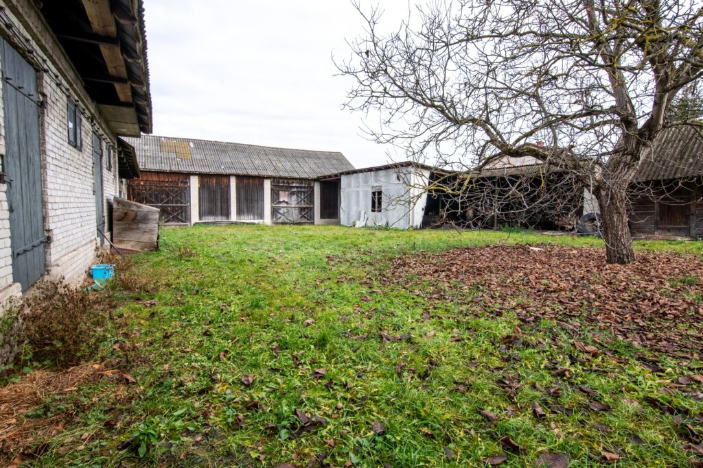 Nieruchomość z domem, gospodarstwem, lasem i polem - zdjęcie 5