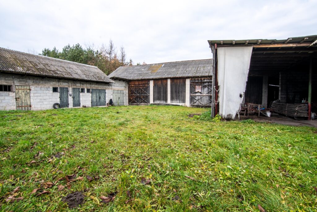 Nieruchomość z domem, gospodarstwem, lasem i polem - zdjęcie 20