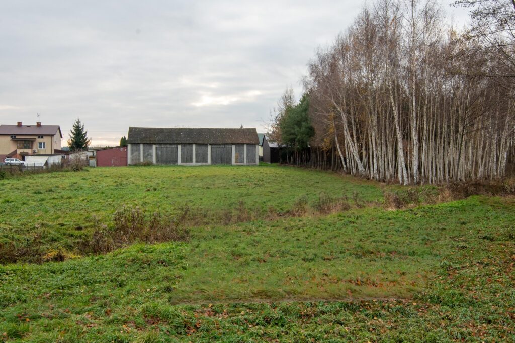 Nieruchomość z domem, gospodarstwem, lasem i polem - zdjęcie 11